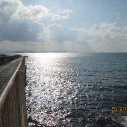 下関フィッシングパーク 釣果