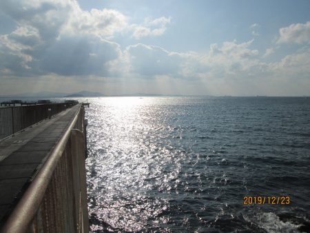 下関フィッシングパーク 釣果