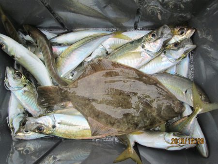 下関フィッシングパーク 釣果