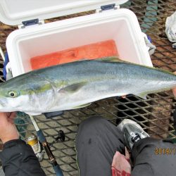 下関フィッシングパーク 釣果