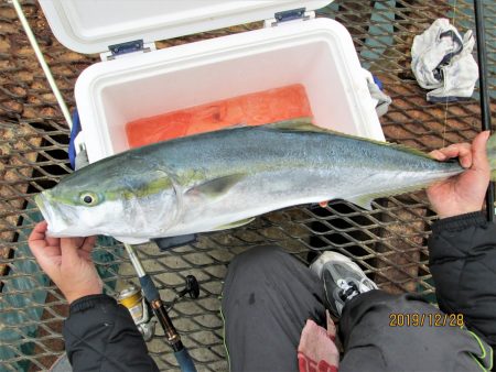 下関フィッシングパーク 釣果