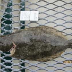 下関フィッシングパーク 釣果