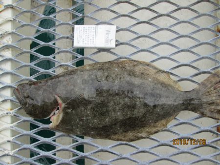 下関フィッシングパーク 釣果