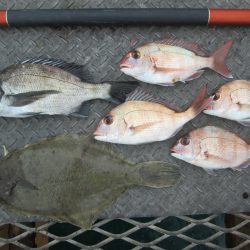 下関フィッシングパーク 釣果