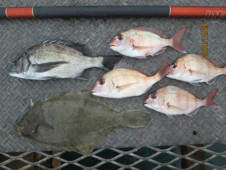 下関フィッシングパーク 釣果