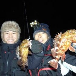 シーマジカル 釣果