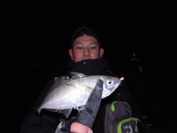 シーマジカル 釣果