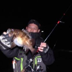 シーマジカル 釣果