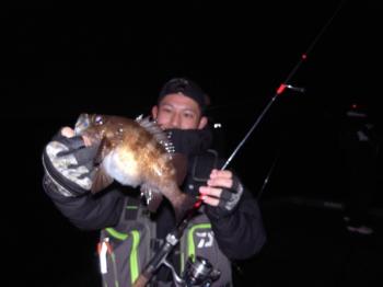 シーマジカル 釣果