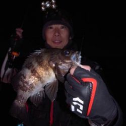 シーマジカル 釣果