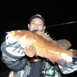 シーマジカル 釣果