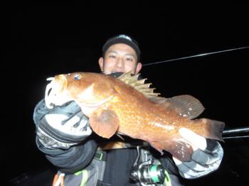 シーマジカル 釣果