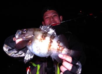 シーマジカル 釣果