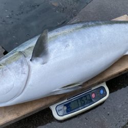 まるいち丸 ZERO-1 釣果