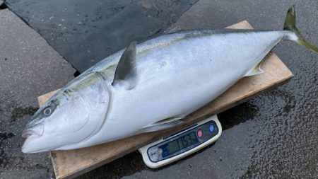 まるいち丸 ZERO-1 釣果