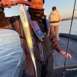 シーマジカル 釣果