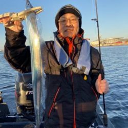 シーマジカル 釣果