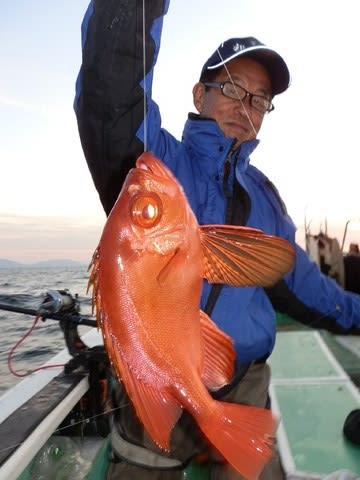 第二むつ漁丸 釣果