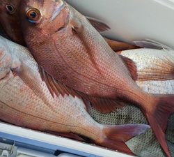 こうゆう丸 釣果