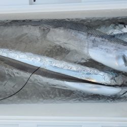 遊漁船 ニライカナイ 釣果