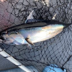 へいみつ丸 釣果