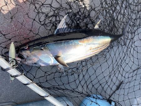 へいみつ丸 釣果