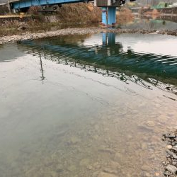 芥川管理釣り場