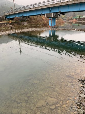 芥川管理釣り場