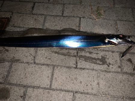 釣り納めでメータ超え