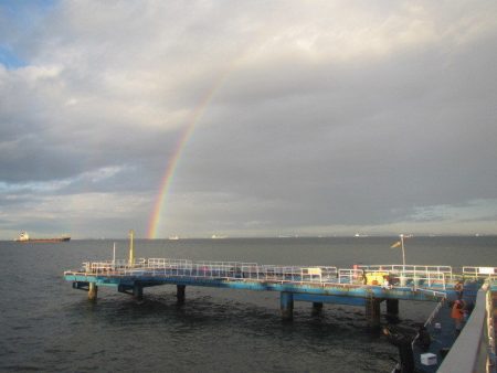 オリジナルメーカー海づり公園(市原市海づり施設) 釣果