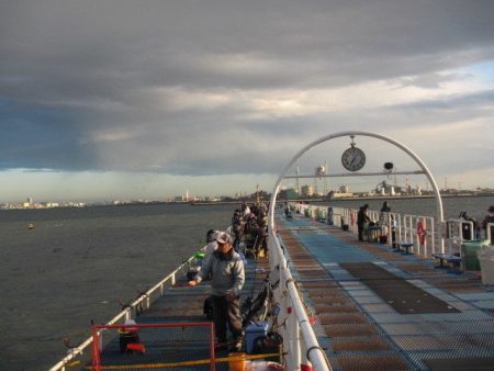 オリジナルメーカー海づり公園(市原市海づり施設) 釣果