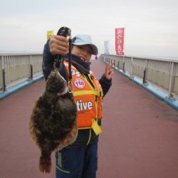 オリジナルメーカー海づり公園(市原市海づり施設) 釣果