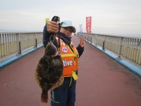 オリジナルメーカー海づり公園(市原市海づり施設) 釣果