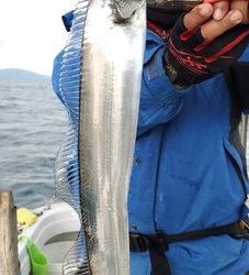 遊漁船 ニライカナイ 釣果