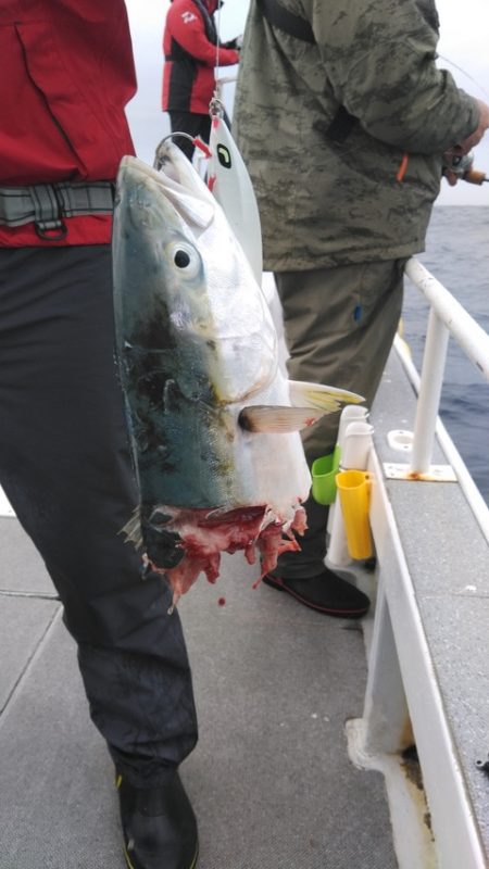 遊漁船 新鋭丸 釣果