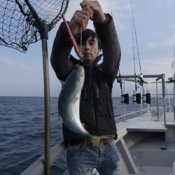 まるいち丸 ZERO-1 釣果