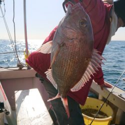 たかみ丸 釣果