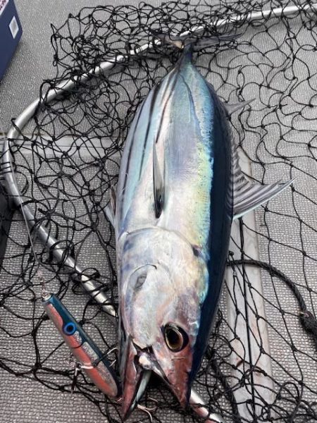 へいみつ丸 釣果