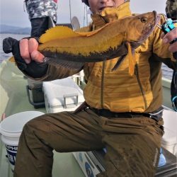 気仙沼　つり丸 釣果