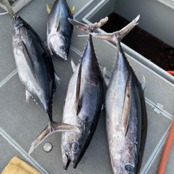 へいみつ丸 釣果