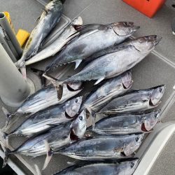 へいみつ丸 釣果