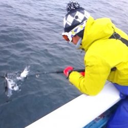 さわ浦丸 釣果