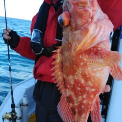 遊漁船 新鋭丸 釣果