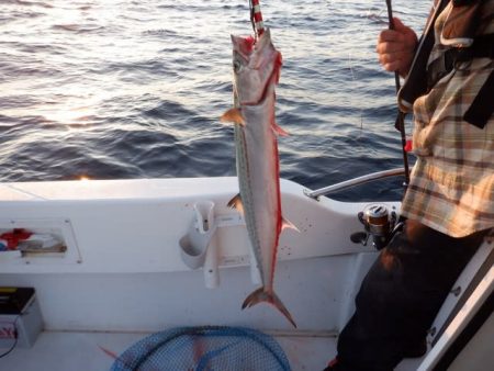開進丸 釣果