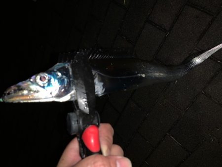 釣り納めでメータ超え