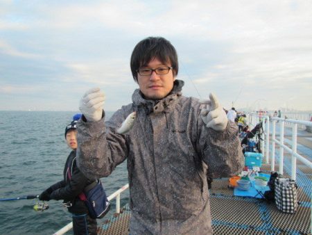 オリジナルメーカー海づり公園(市原市海づり施設) 釣果