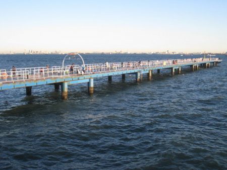 オリジナルメーカー海づり公園(市原市海づり施設) 釣果