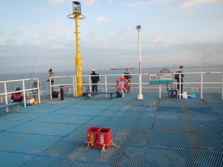 オリジナルメーカー海づり公園(市原市海づり施設) 釣果