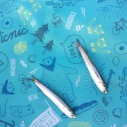 オリジナルメーカー海づり公園(市原市海づり施設) 釣果