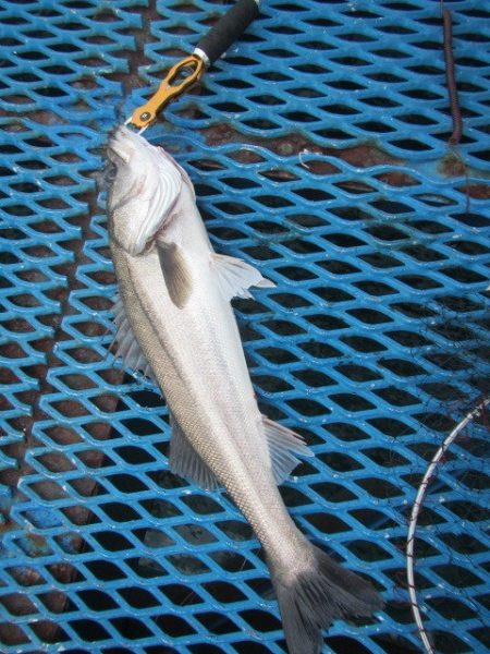 オリジナルメーカー海づり公園(市原市海づり…